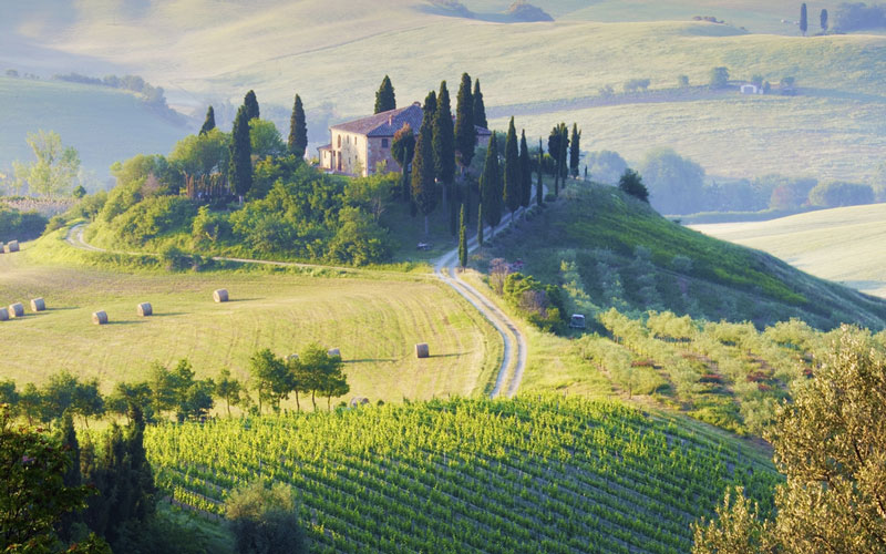IN VAL D'ORCIA TRA CULTURA, VINO E PECORINO